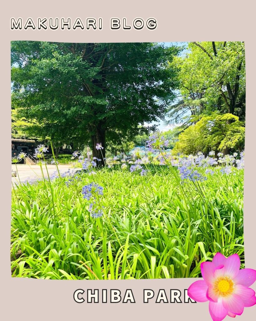  Chiba park (3)